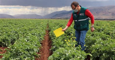 Hoy se celebra el Día Internacional de la Sanidad Vegetal