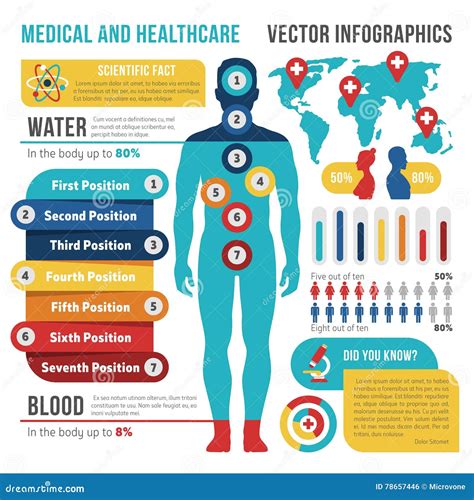 Medische En Gezondheidszorg Vectorinfographics Met Menselijk Lichaam