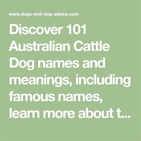 Discover 101 Australian Cattle Dog names and meanings, including famous ...