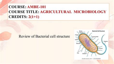 Ambe 101 Lec 3 Ppt