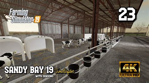 How To Sell Cows Fs19