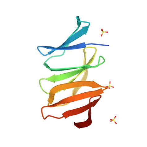 RCSB PDB 7XFP Crystal Structure Of Helicobacter Pylori IceA2