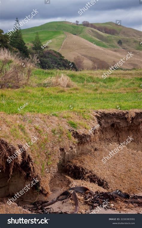 Effects Rising Sea Level Caused By Stock Photo 2220383591 | Shutterstock