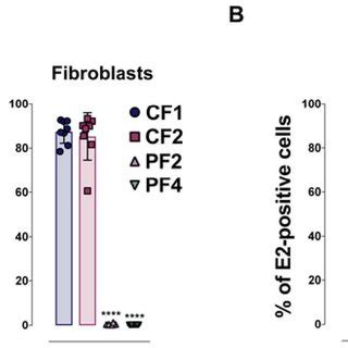 Fhl Is Essential For Chikv Susceptibility A Primary Myoblasts And