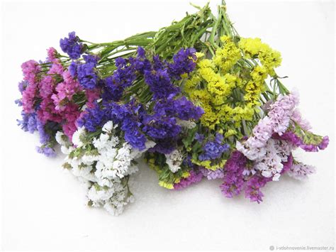 Лимониум в букете - 61 фото