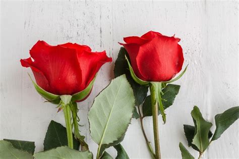 Premium Photo | Red roses for valentine's day