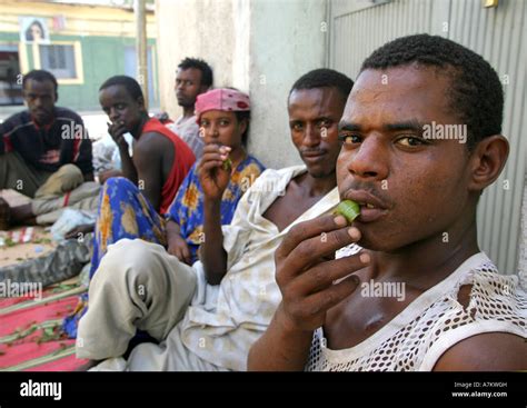 Khat droge Fotos und Bildmaterial in hoher Auflösung Alamy