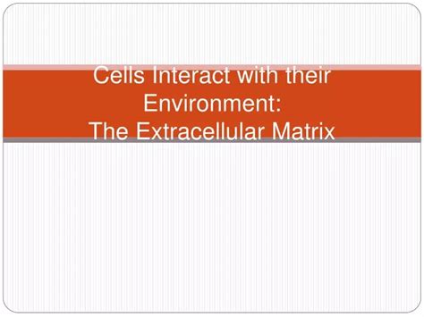 Ppt Cells Interact With Their Environment The Extracellular Matrix