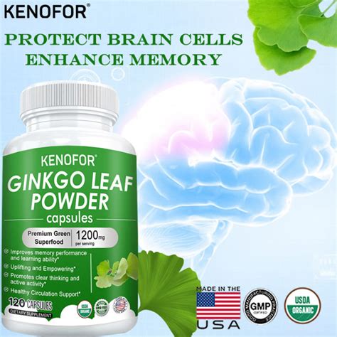 Ginkgo Biloba Extract Supplement Improves Brain Improves Absorption Improves Memory 60