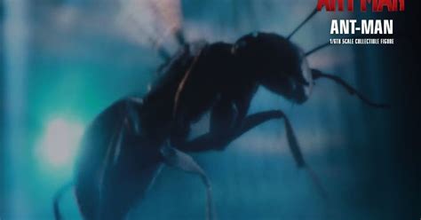 Toyhaven Check Out The Awesomeness Of Hot Toys MMS308 1 6th Scale Ant Man Collectible Figure