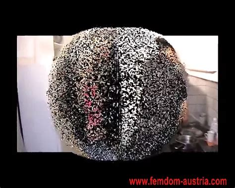 Princess Barby Trains House Slave Richie Amateur Porn By Femdom Austria XHamster