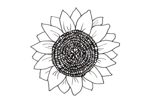 Los Mejores Dibujos De Girasoles Para Colorear ☀️ Todo Para Colorear