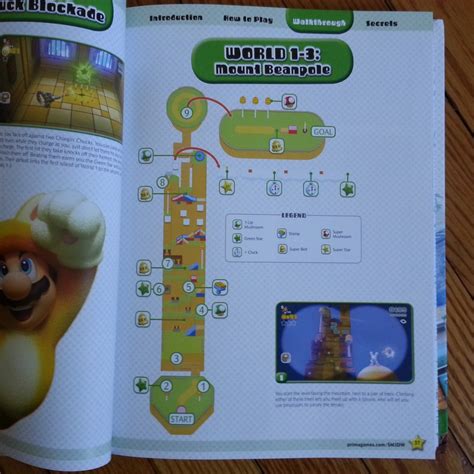 Super Mario 3D World Strategy Guide Review