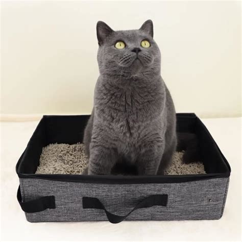 Boîte à Litière De Voyage pour Chat Bac Litiere pour Chat Porte