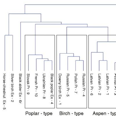 Dendrogram For The Chemical Similarity Of Tree Species Resins And