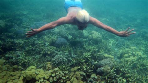 Keindahan Surga Bawah Laut Di Wakatobi Foto Tempo Co