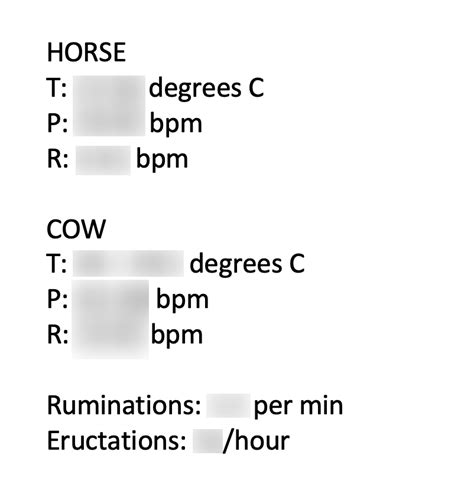 Unit 3 Bovine Diagram Quizlet