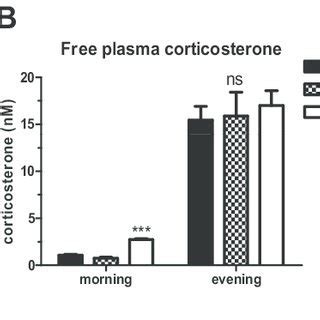 Plasma Corticosterone And ACTH Levels At Rest In Transcortin Deficient