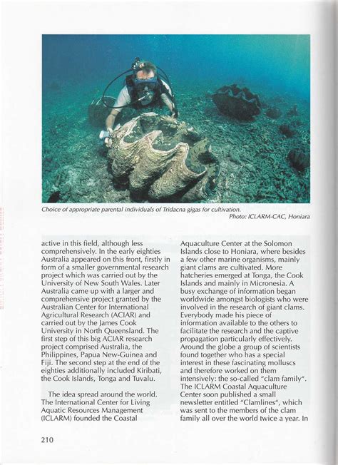 Giant Clams-Giant Clams