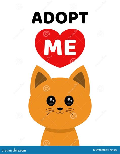 Shelter apps will change how we find where to buy a cat 7