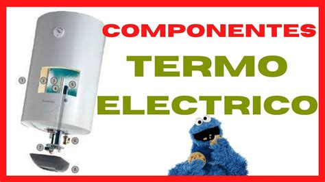 Componentes de un termo eléctrico YouTube