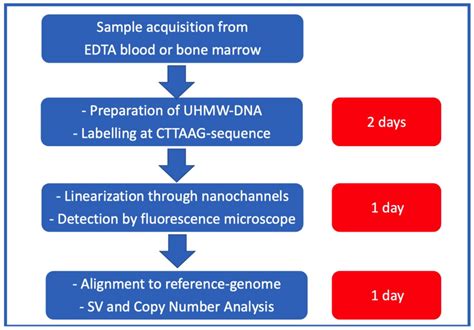 Optical Genome Mapping for Cytogenetic Diagnostics in AML
