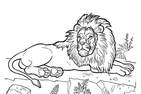 Imagem De Animais Selvagens Para Imprimir - Desenhos de Animais Selvagens para colorir - 70 imagens para imprimir