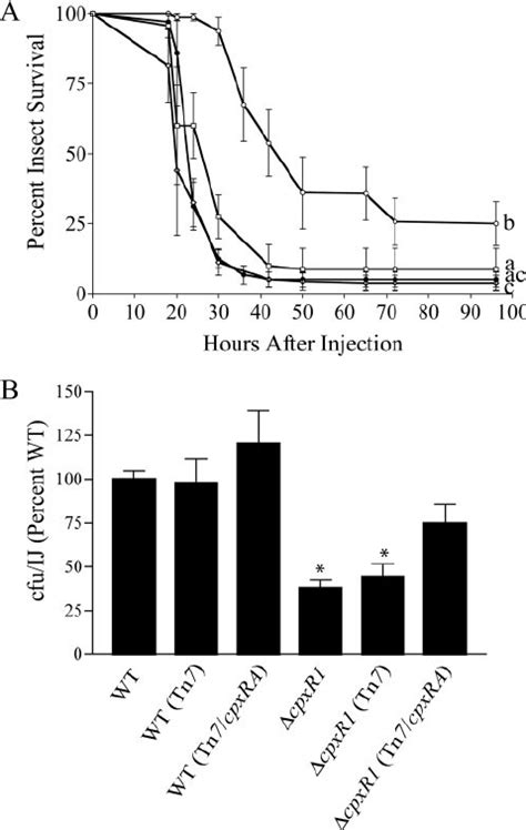 Cpxr Mutant Is Attenuated In Virulence For M Sexta Insects And