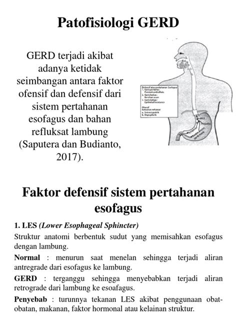 Patofisiologi Gerd Pdf