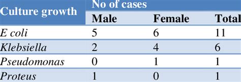 Urine Culture Growth Patterns Among The Uti Cases Download Scientific Diagram