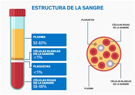 Diagrama De Estructura De Plaquetas