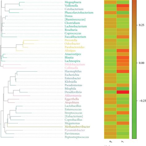 Phylogenetic tree analysis. On the left is the phylogenetic tree. The ...