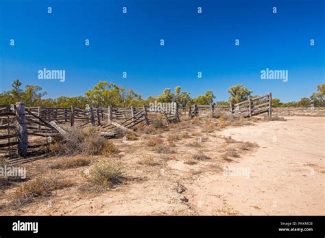 Cattle yards hi-res stock photography and images - Alamy