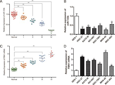 Mir 133b Inhibits Proliferation And Invasion Of Gastric Cancer Cells By