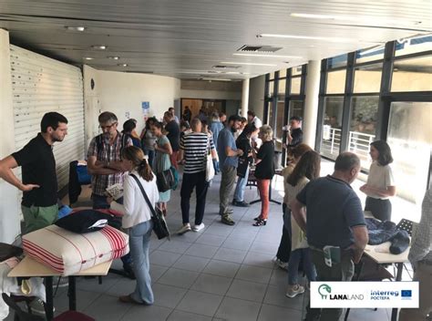 POCTEFA - LANALAND cherche une seconde vie pour la laine du Pays basque