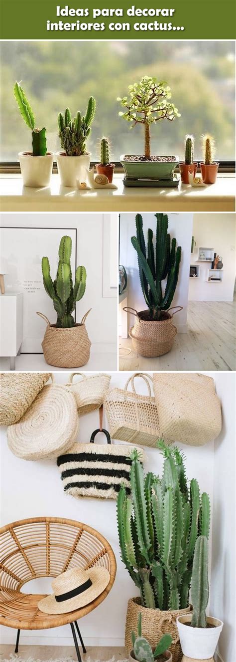 Ideas Para Decorar Interiores Con Cactus