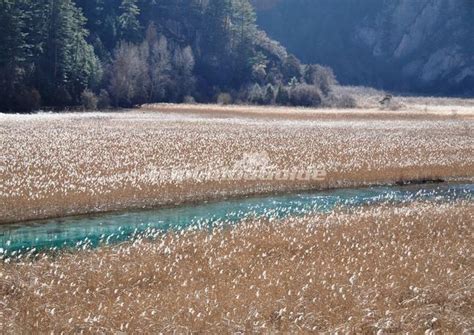 Autumn Scenery at Jiuzhaigou Valley Aba - Autumn/Fall in Jiuzhaigou ...