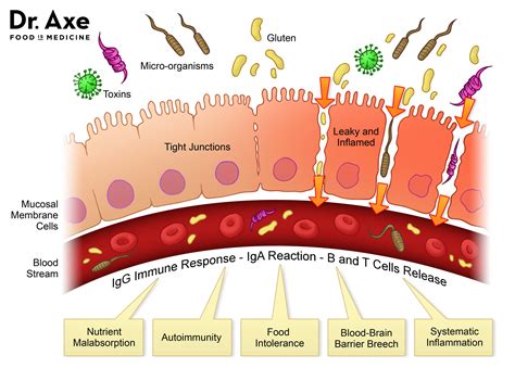 Leaky Gut Syndrome +9 Signs You Might Have It — Jenna Longoria