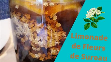 Limonade De Fleurs De Sureau Recette Maison YouTube