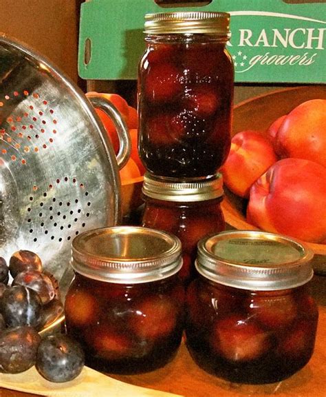 Sweet Preservation Pickled Italian Plums Plum Recipes Pickles