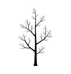 Dry tree silhouette Royalty Free Vector Image - VectorStock