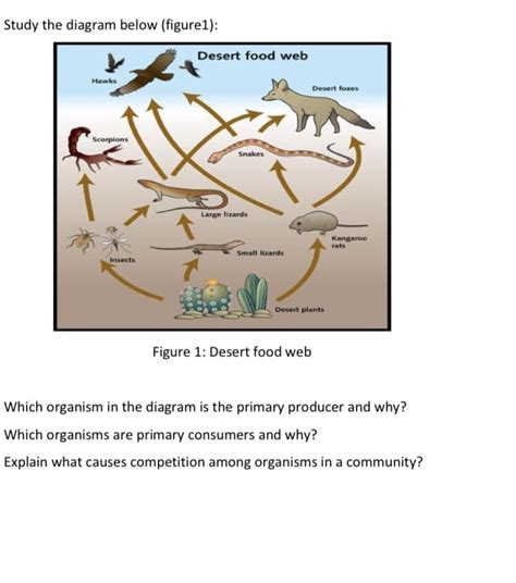 Answered Study The Diagram Below Figure1 Bartleby