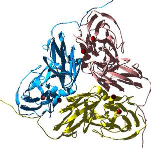 Three Dimensional Structure Of The Alcaligenes Xylosoxidans Copper