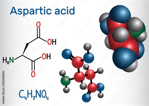 Aspartic Acid L Aspartic Acid Asp D Aspartate Proteinogenic Amino