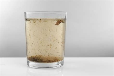 Premium Photo Glass Of Contaminated Water On Grey Background