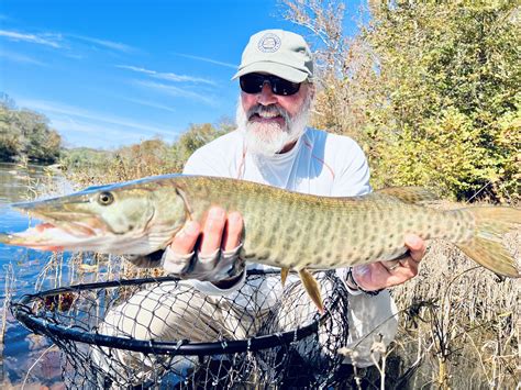 Local guides explain why burke virginia is perfect for families