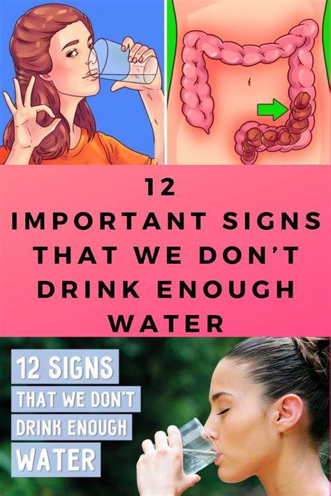 Important Signs That We Dont Drink Enough Water Drinks Fun Facts