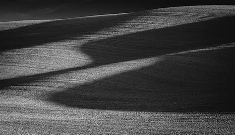 Palouse Dunes Photograph by Greg Waddell | Fine Art America