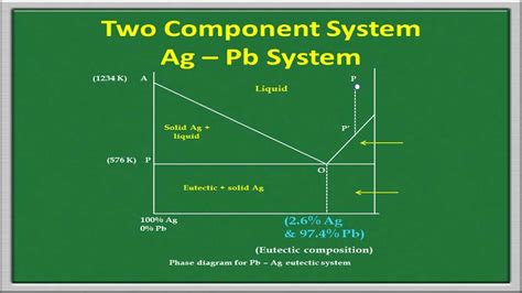 Understanding The Phase Diagram Of A Two Component System Wiremystique