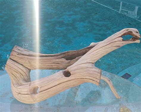 Manzanita Driftwood For Aquarium Terrarium Aquascape Etsy